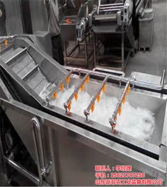 山东派菲克蔬菜喷淋清洗机 提升新疆蔬菜清洗效率的专业设备